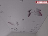 Натяжные потолки бабочки фотопечать