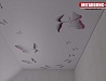 Натяжные потолки бабочки фотопечать