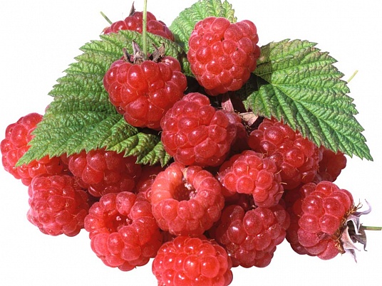 кухня - 4