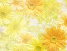 Цветочный фон - 63
