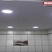 Фактурные натяжные потолки в Оренбурге