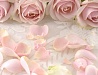 Цветочный фон - 48