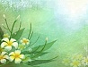 Цветочный фон - 22